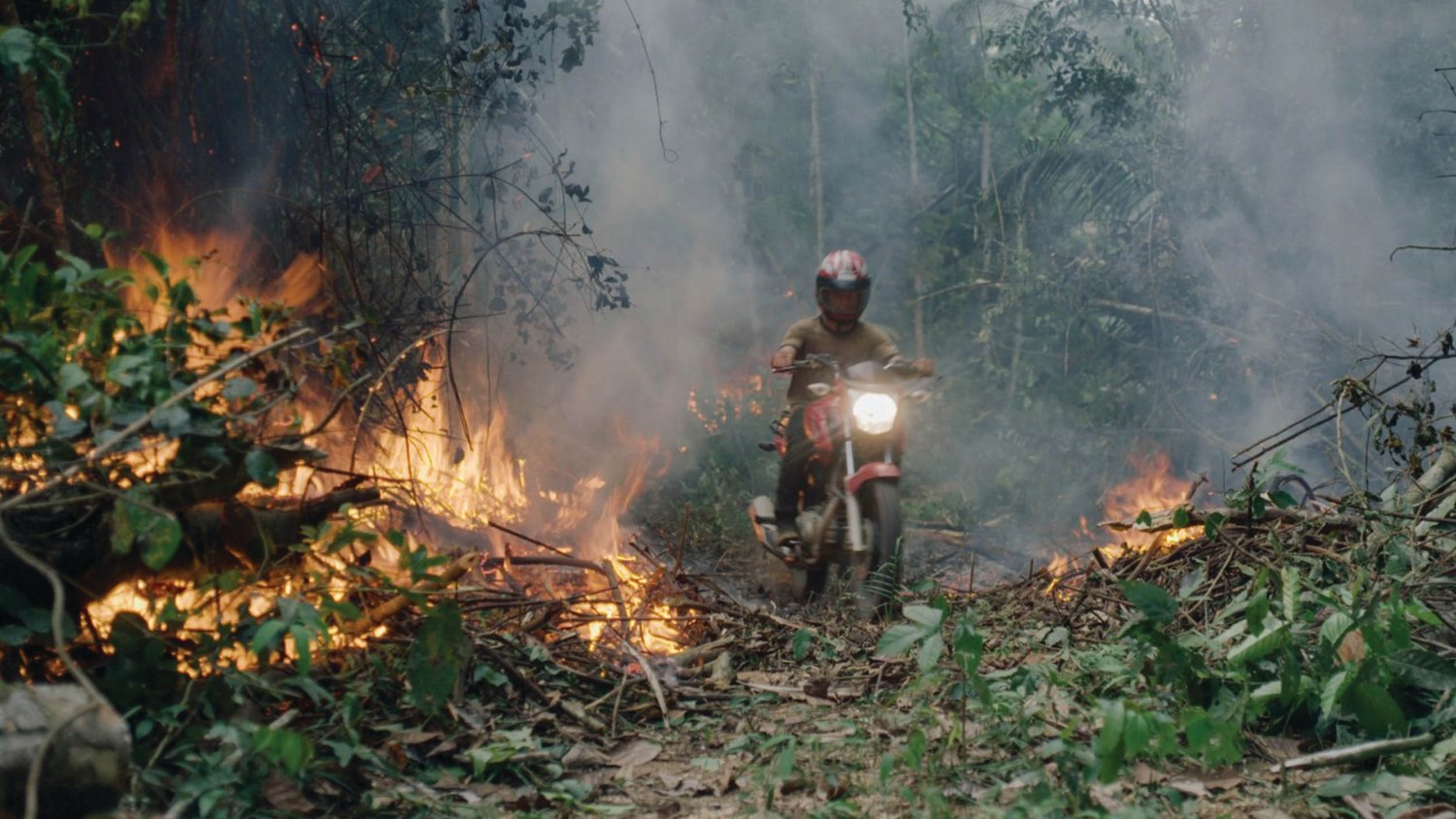 “The Territory” offers an immersive look at the fight of the Indigenous Uru-eu-wau-wau people against deforestation and illegal settlers in the Brazilian Amazon.